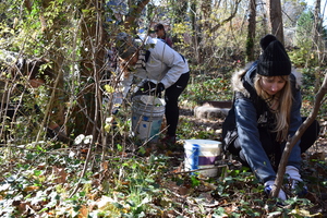 Students Clipping Invasives